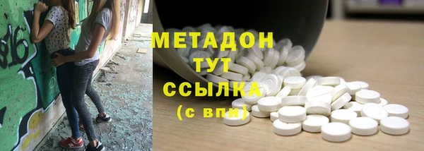 хмурый Аркадак