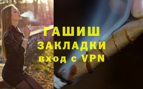 хмурый Аркадак