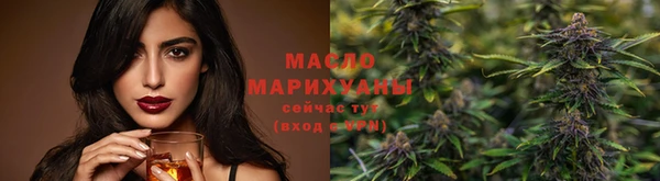 гашик Сосновка