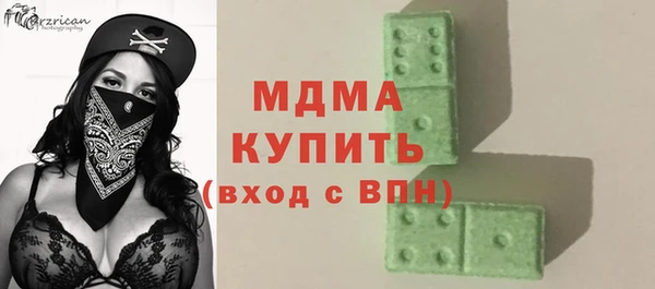 хмурый Аркадак