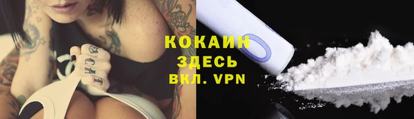 гашик Сосновка