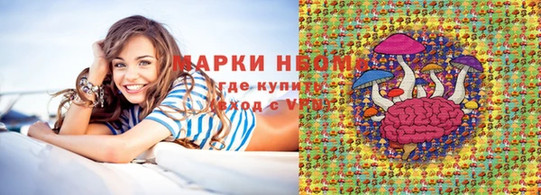 хмурый Аркадак