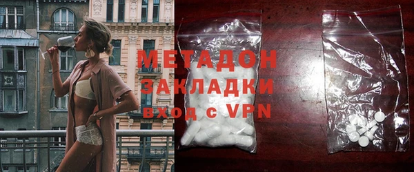 хмурый Аркадак