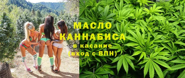 хмурый Аркадак