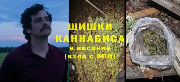 гашик Сосновка