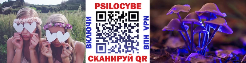 Псилоцибиновые грибы GOLDEN TEACHER  цены наркотик  Харовск 